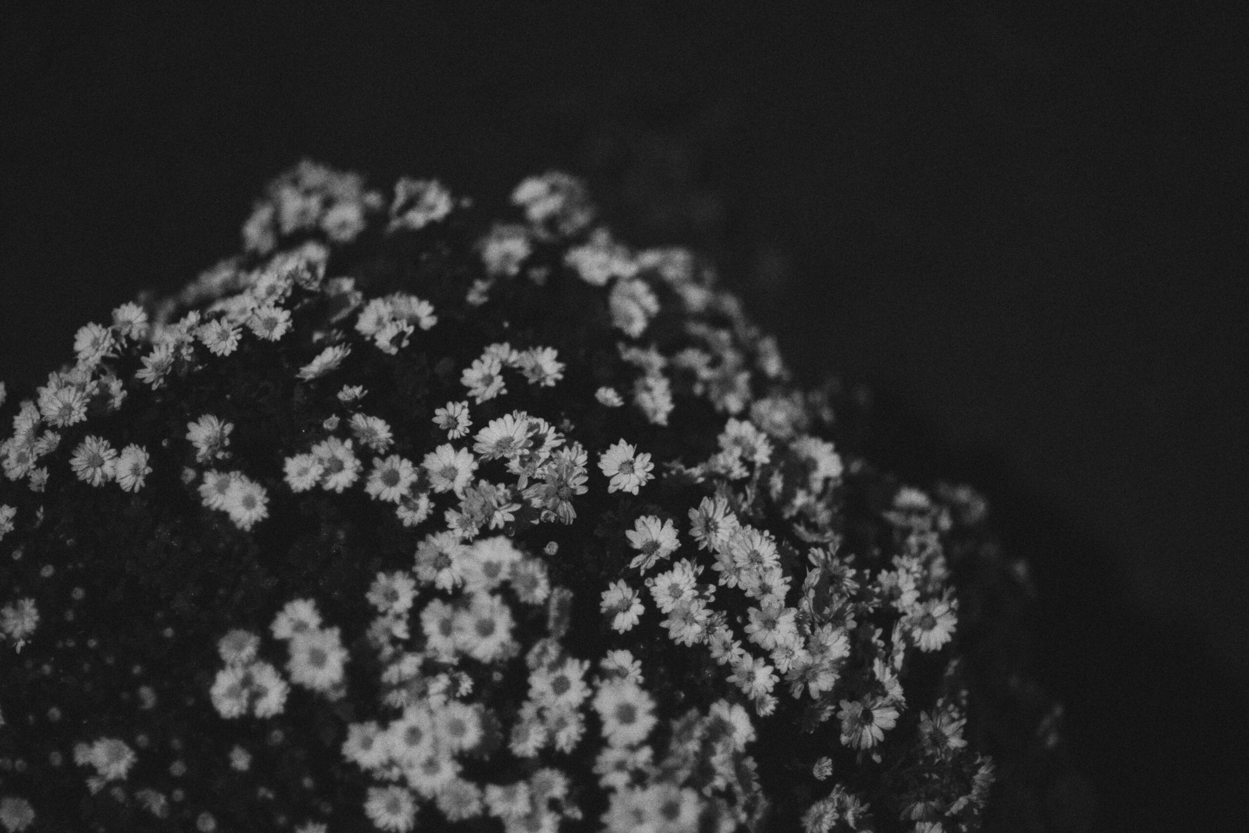 FLOWER & GREEN